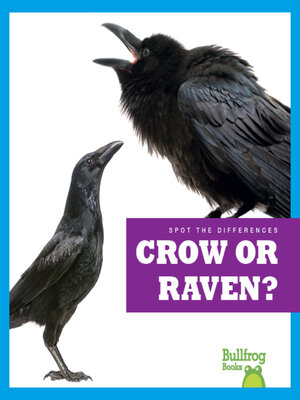 cover image of Crow or Raven?